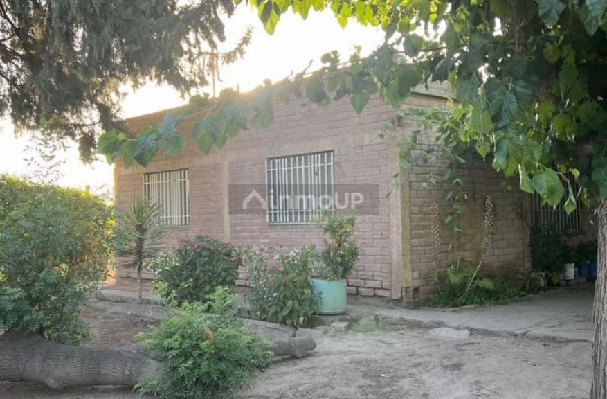 Finca en Venta en San Martin, Mendoza
