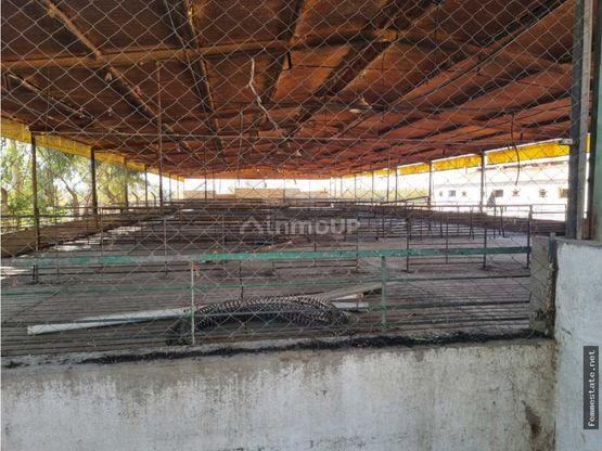 Finca en Venta en Maipu, Mendoza