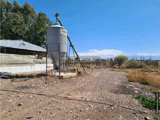 Finca en Venta en Maipu, Mendoza