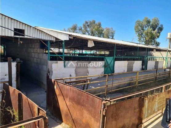 Finca en Venta en Maipu, Mendoza