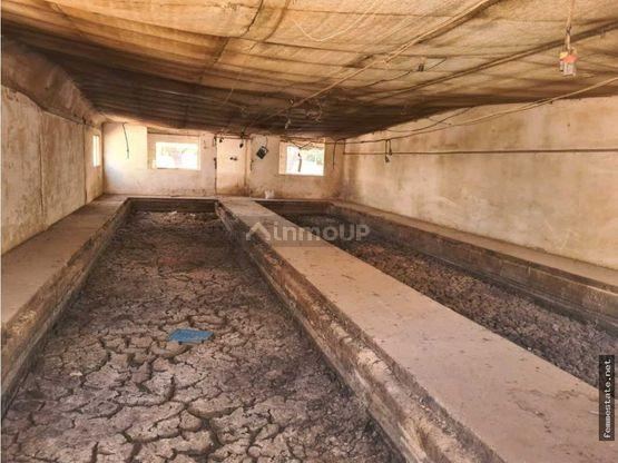 Finca en Venta en Maipu, Mendoza