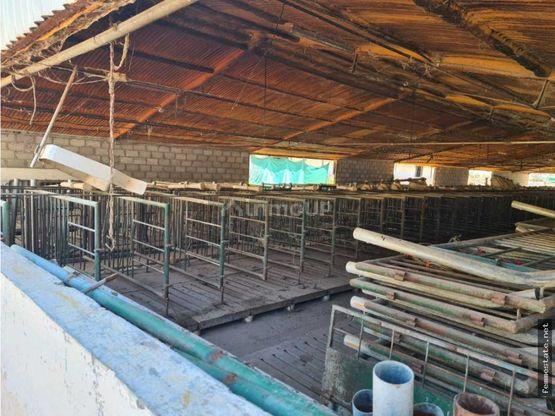 Finca en Venta en Maipu, Mendoza