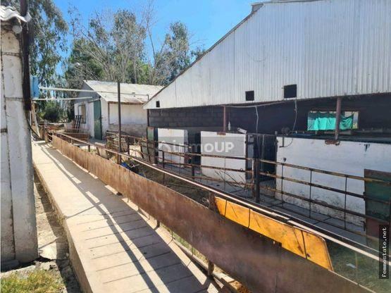 Finca en Venta en Maipu, Mendoza