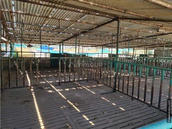 Finca en Venta en Maipu, Mendoza