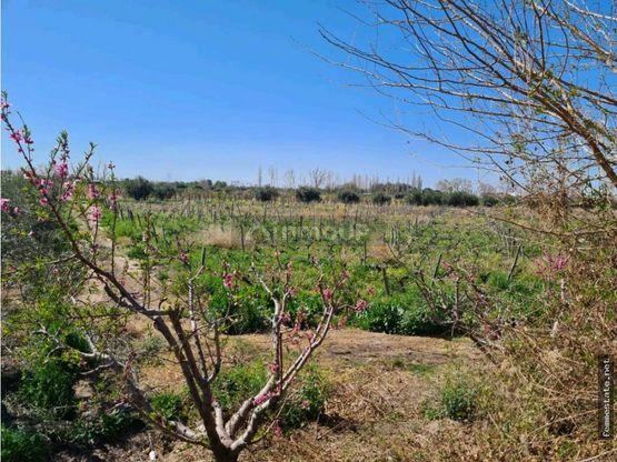 Finca en Venta en Maipu, Mendoza