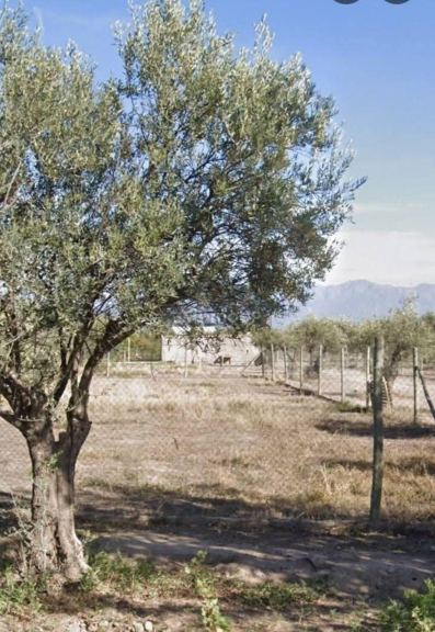 Terreno en Venta en Lujan de Cuyo, Mendoza