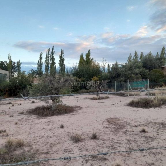 Terreno en Venta en Lujan de Cuyo, Mendoza