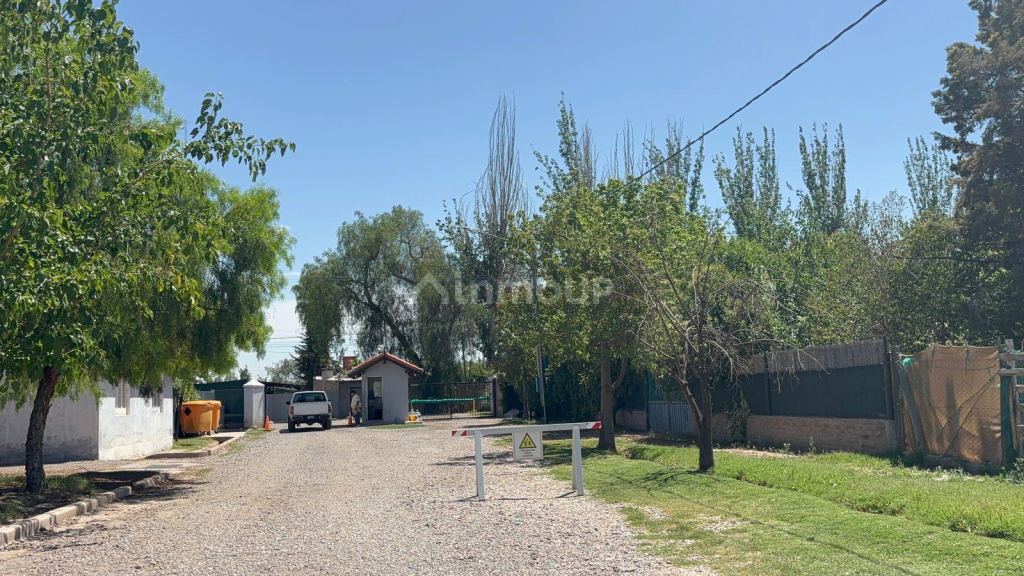 Terreno en Venta en Maipu, Mendoza