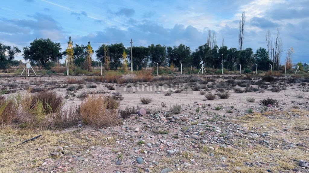 Terreno en Venta en Lujan de Cuyo, Mendoza