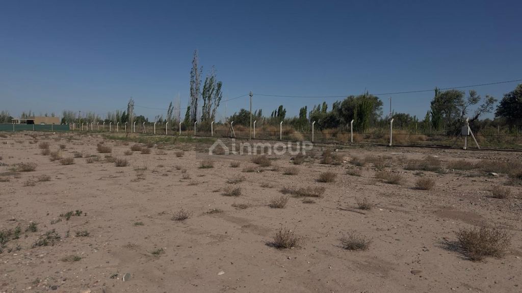 Terreno en Venta en Lujan de Cuyo, Mendoza