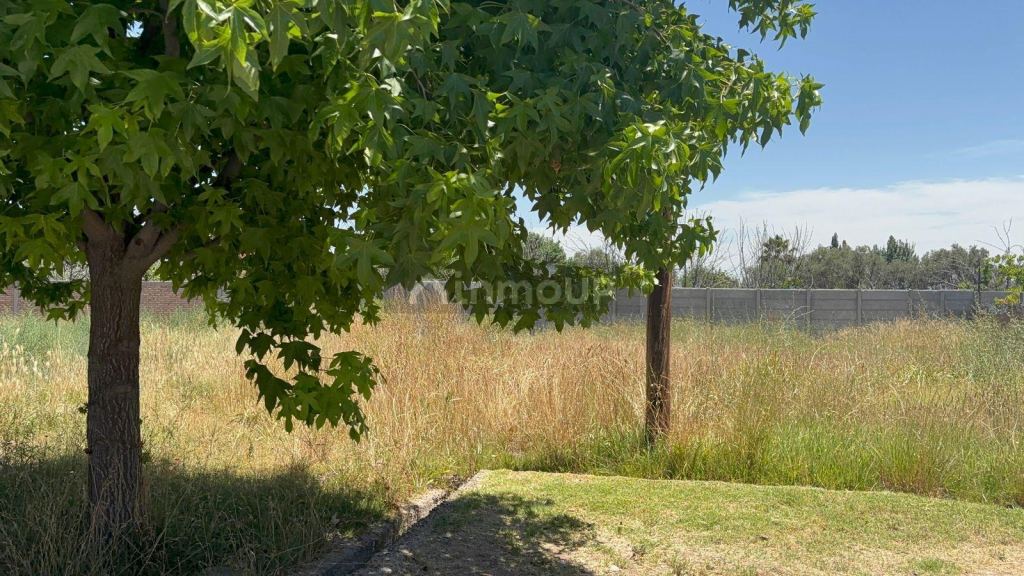Terreno en Venta en Lujan de Cuyo, Mendoza