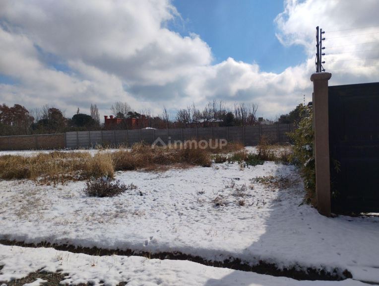 Terreno en Venta en Lujan de Cuyo, Mendoza
