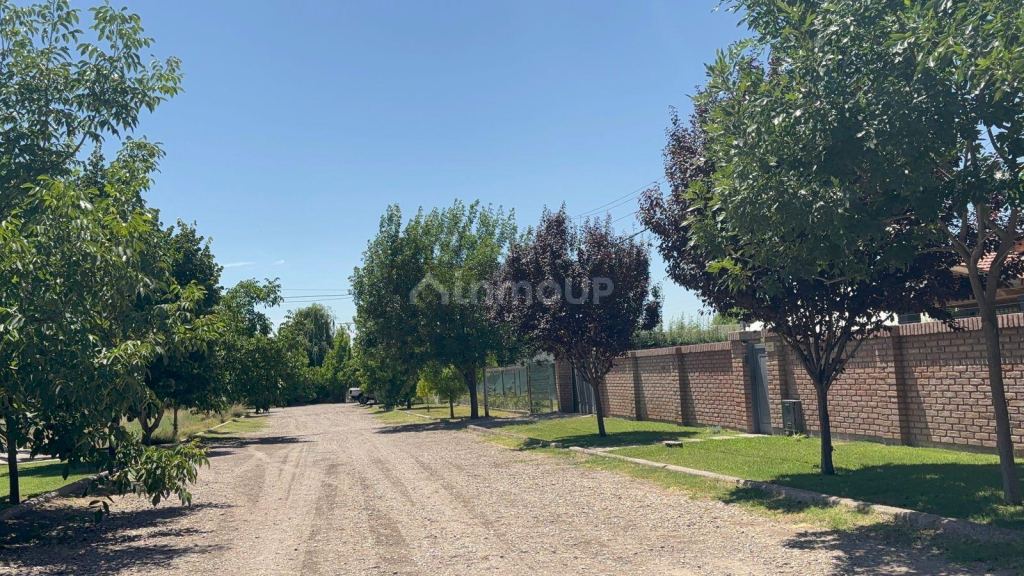 Terreno en Venta en Lujan de Cuyo, Mendoza