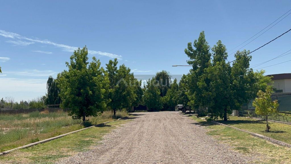 Terreno en Venta en Lujan de Cuyo, Mendoza