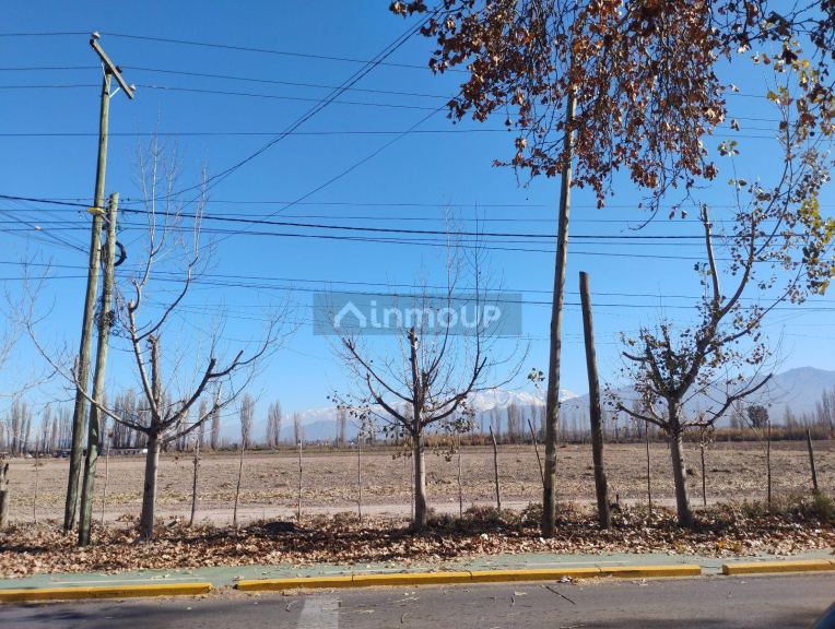 Terreno en Venta en Lujan de Cuyo, Mendoza