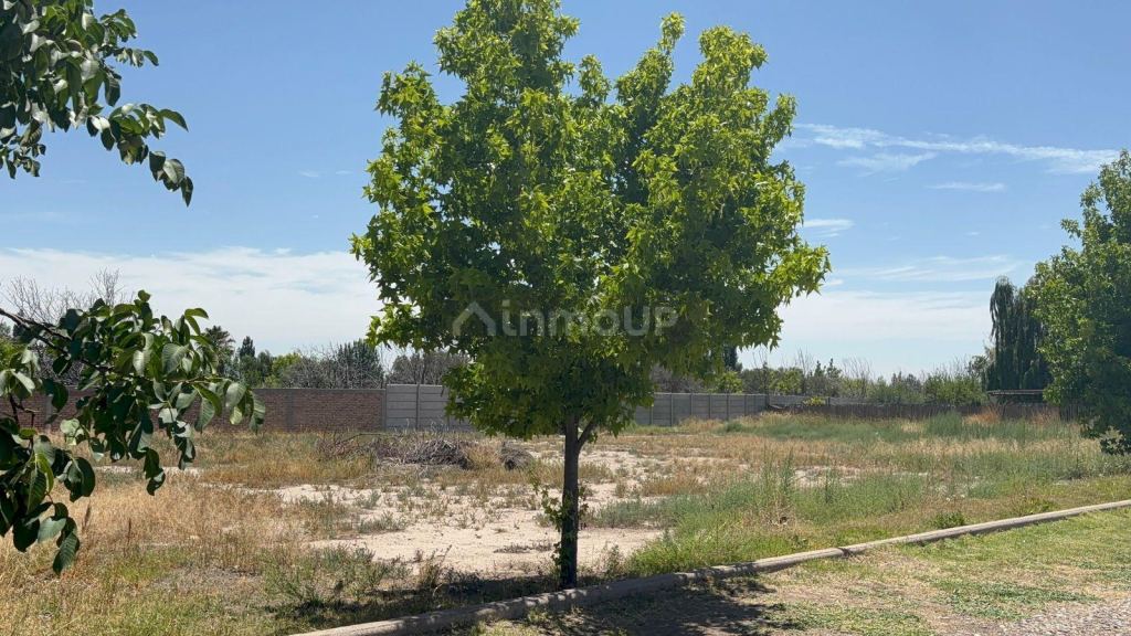 Terreno en Venta en Lujan de Cuyo, Mendoza