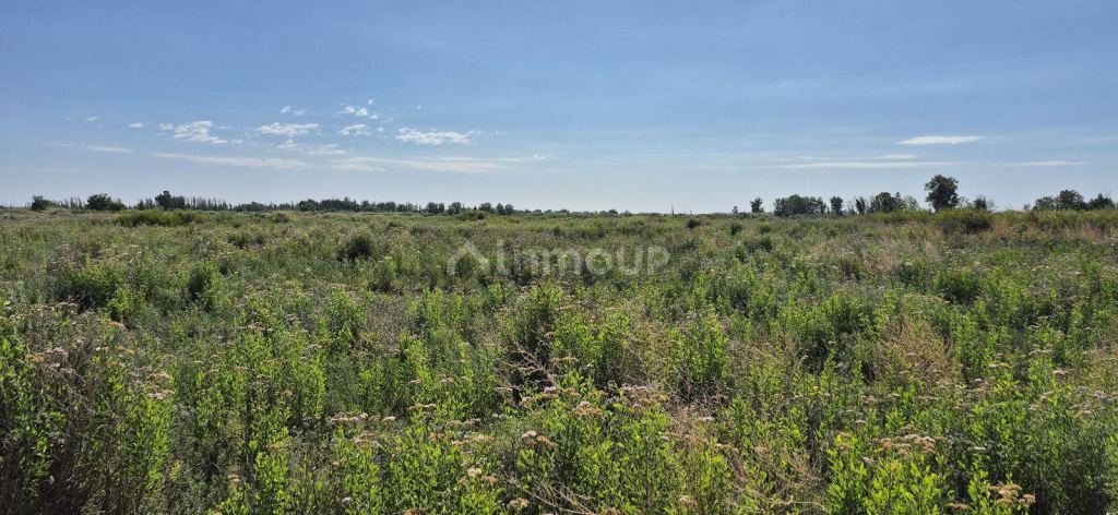 Terreno en Venta en Guaymallen, Mendoza