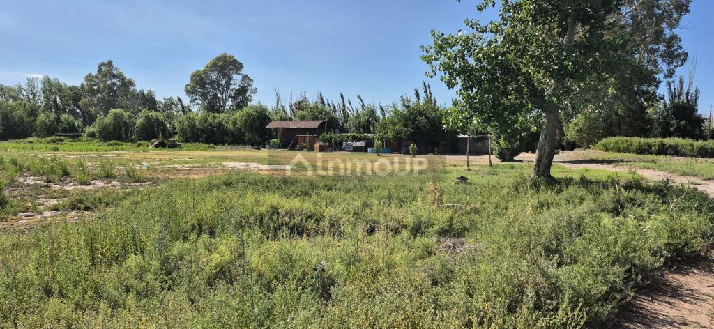 Terreno en Venta en Guaymallen, Mendoza