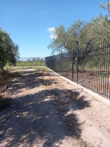 Terreno en Venta en Maipu, Mendoza