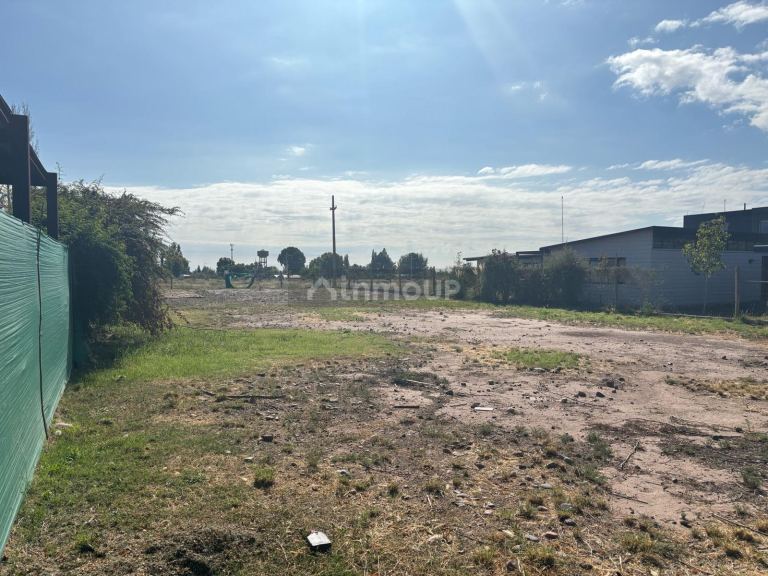 Terreno en Venta en Lujan de Cuyo, Mendoza