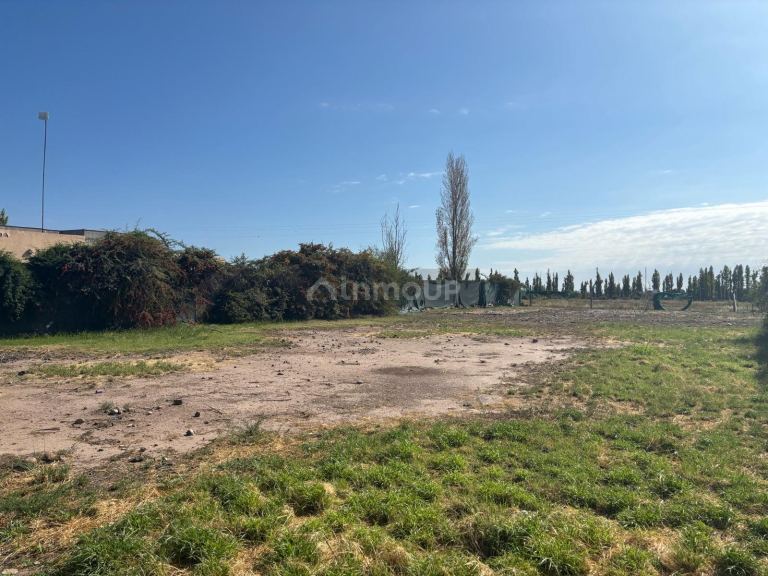 Terreno en Venta en Lujan de Cuyo, Mendoza