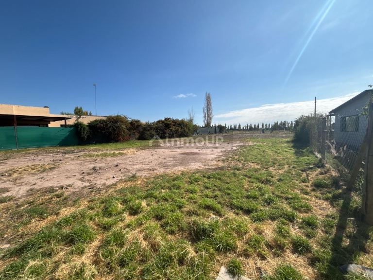 Terreno en Venta en Lujan de Cuyo, Mendoza