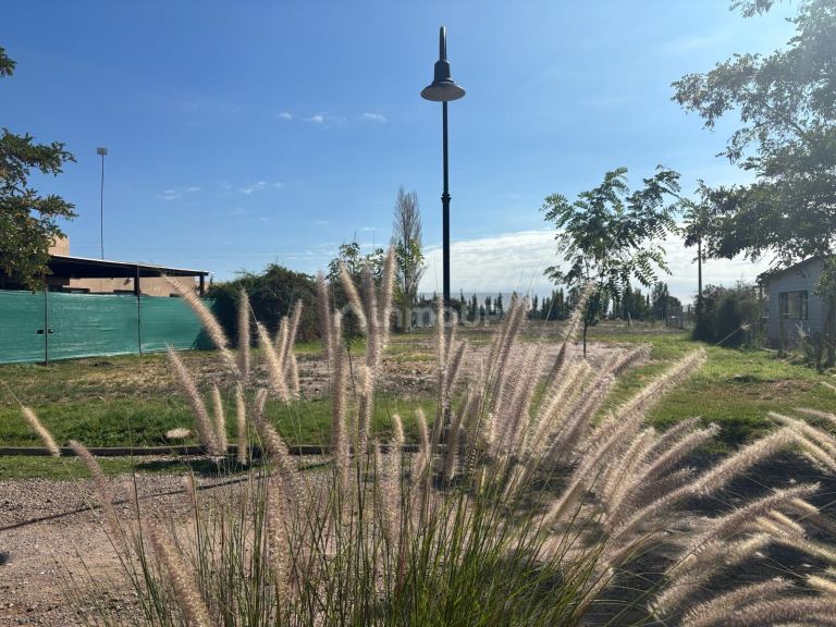 Terreno en Venta en Lujan de Cuyo, Mendoza