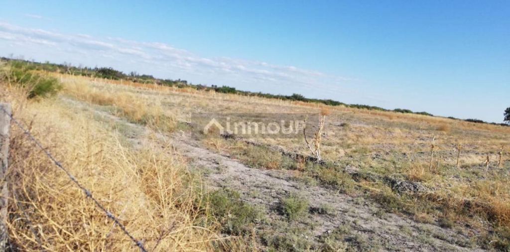 Terreno en Venta en Lavalle, Mendoza