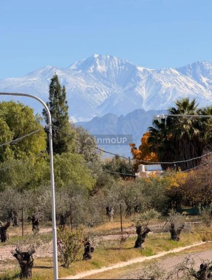 Terreno en Venta en Maipu, Mendoza