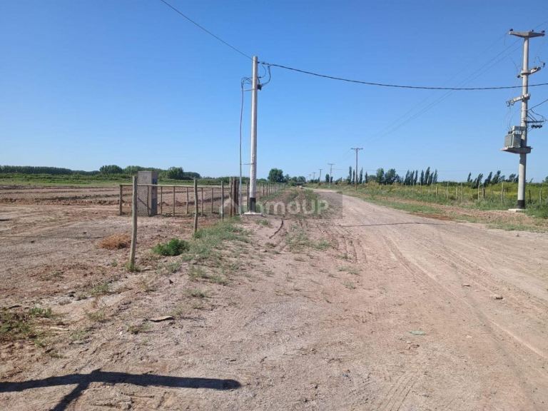 Terreno en Venta en Lavalle, Mendoza