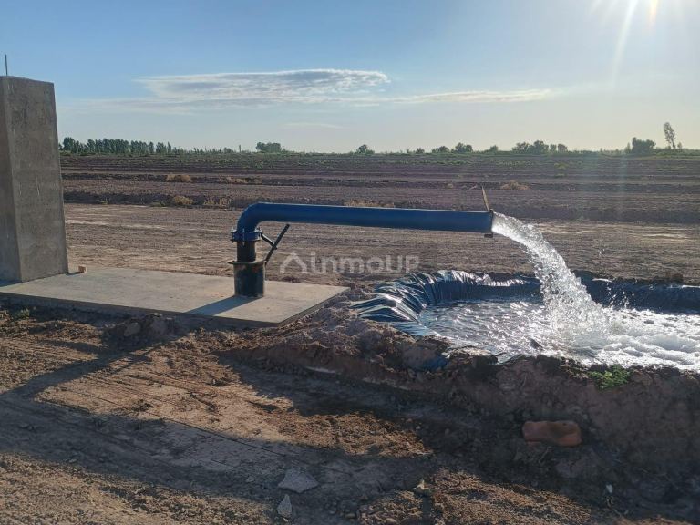 Terreno en Venta en Lavalle, Mendoza