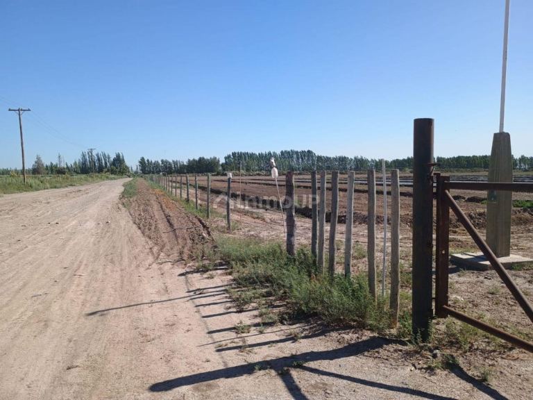 Terreno en Venta en Lavalle, Mendoza
