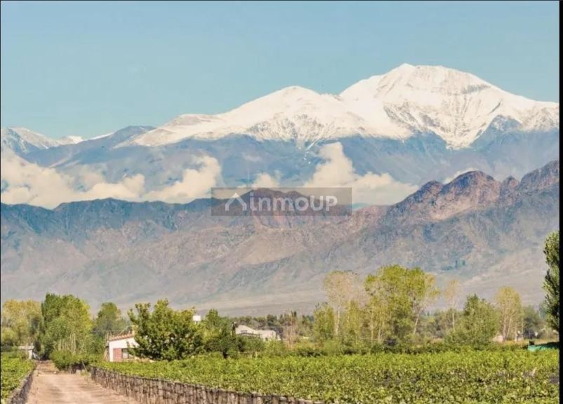 Terreno en Venta en Lujan de Cuyo, Mendoza