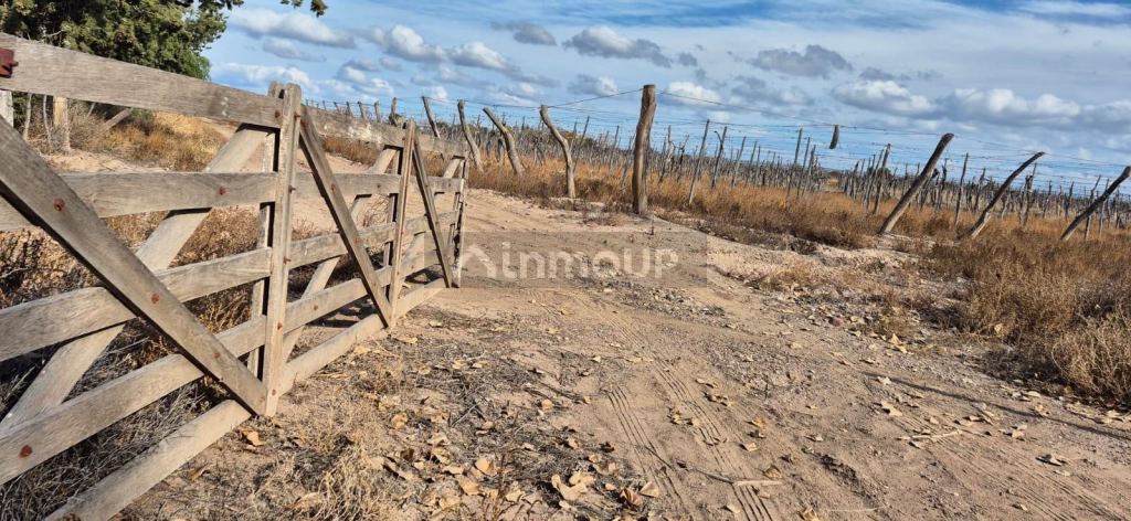 Terreno en Venta en Lujan de Cuyo, Mendoza