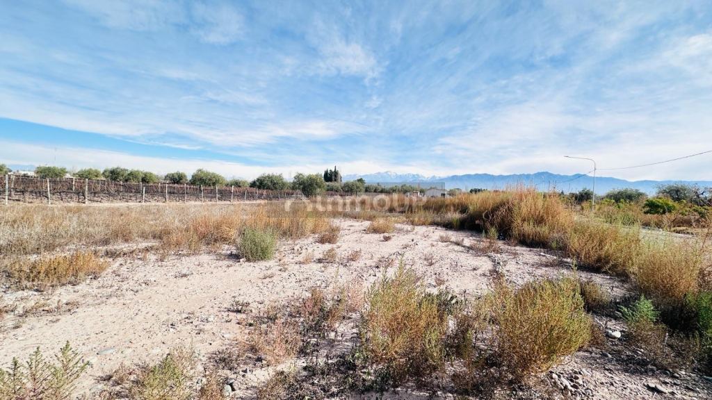 Terreno en Venta en Lujan de Cuyo, Mendoza