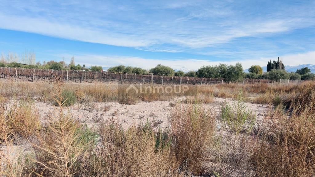 Terreno en Venta en Lujan de Cuyo, Mendoza