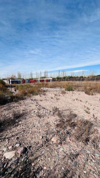 Terreno en Venta en Lujan de Cuyo, Mendoza