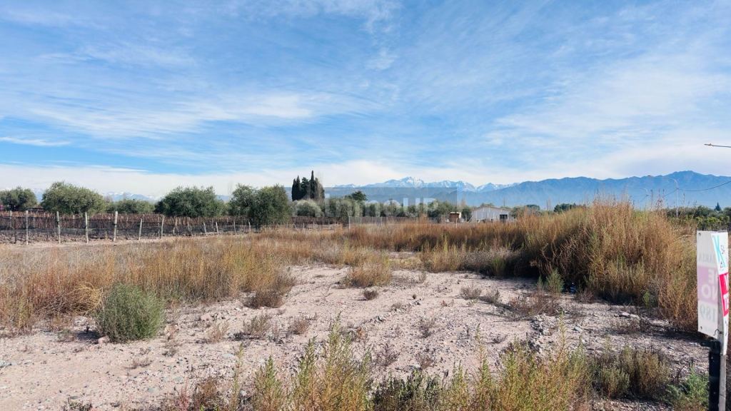 Terreno en Venta en Lujan de Cuyo, Mendoza