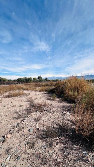 Terreno en Venta en Lujan de Cuyo, Mendoza