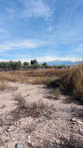 Terreno en Venta en Lujan de Cuyo, Mendoza