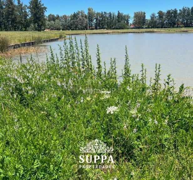 Terreno en Venta en Pilar, G.B.A. Zona Norte