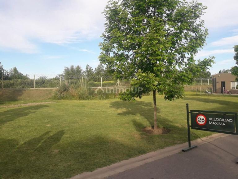 Terreno en Venta en Tigre, G.B.A. Zona Norte