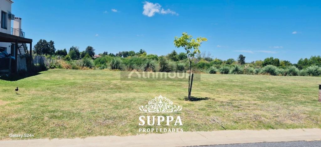 Terreno en Venta en Tigre, G.B.A. Zona Norte