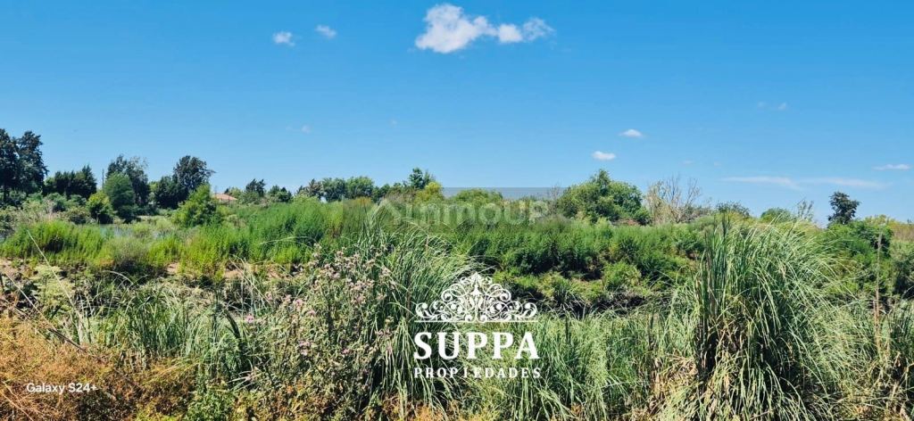 Terreno en Venta en Tigre, G.B.A. Zona Norte