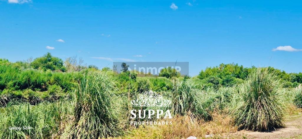 Terreno en Venta en Tigre, G.B.A. Zona Norte