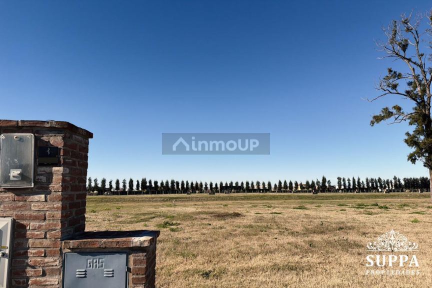 Terreno en Venta en Tigre, G.B.A. Zona Norte