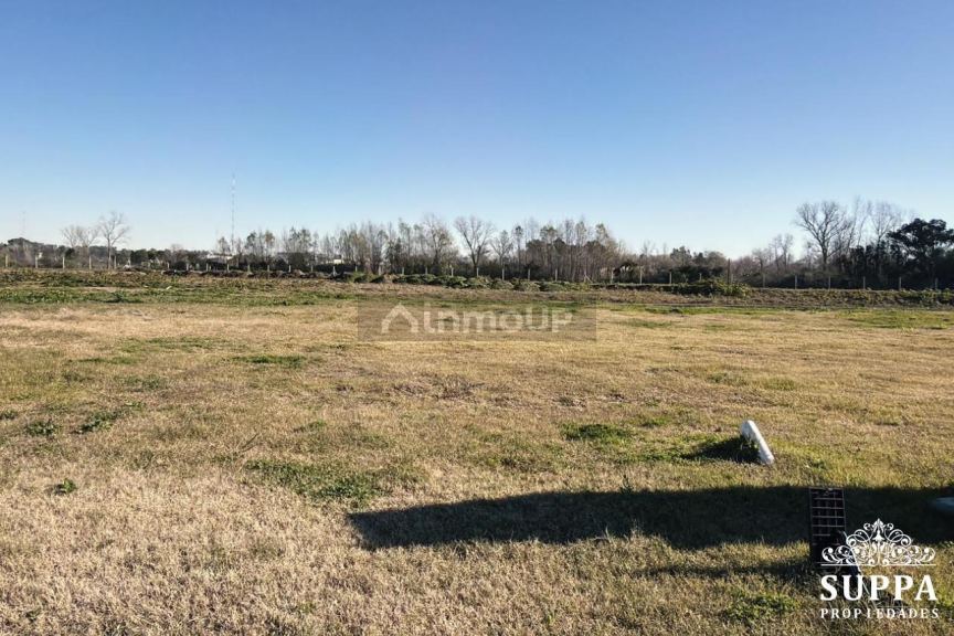 Terreno en Venta en Tigre, G.B.A. Zona Norte
