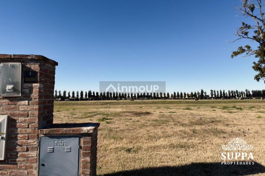 Terreno en Venta en Tigre, G.B.A. Zona Norte