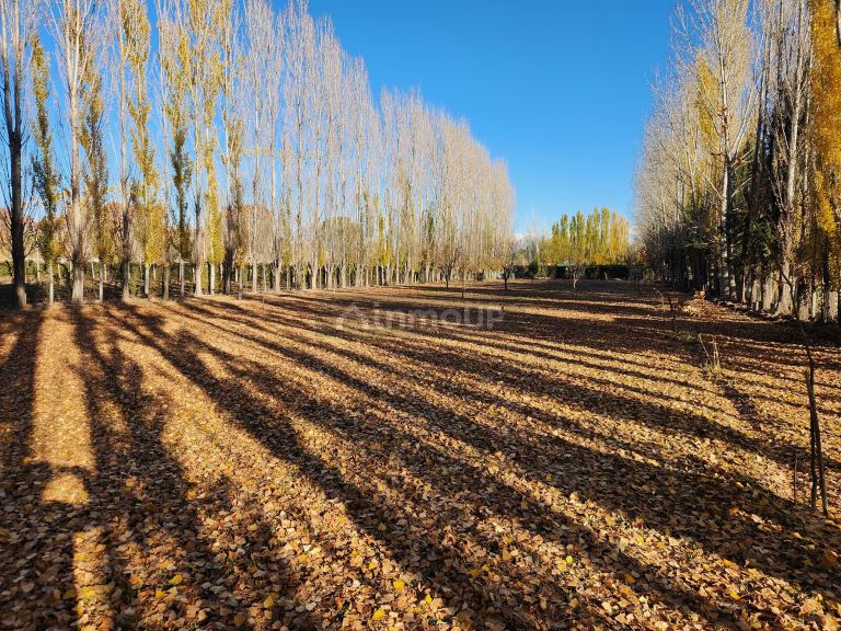 Lote en Venta en Lujan de Cuyo, Mendoza