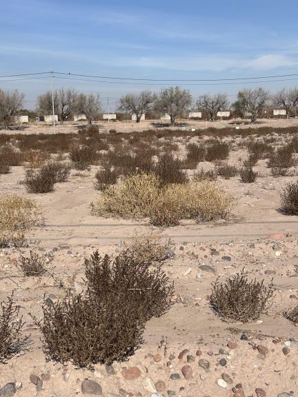 Lote en Venta en Lujan de Cuyo, Mendoza